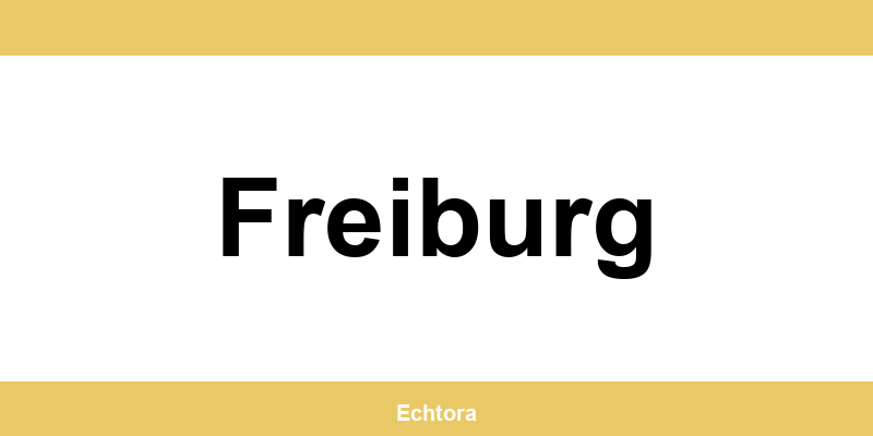 Kontakt zu Western Union Filialen in Freiburg