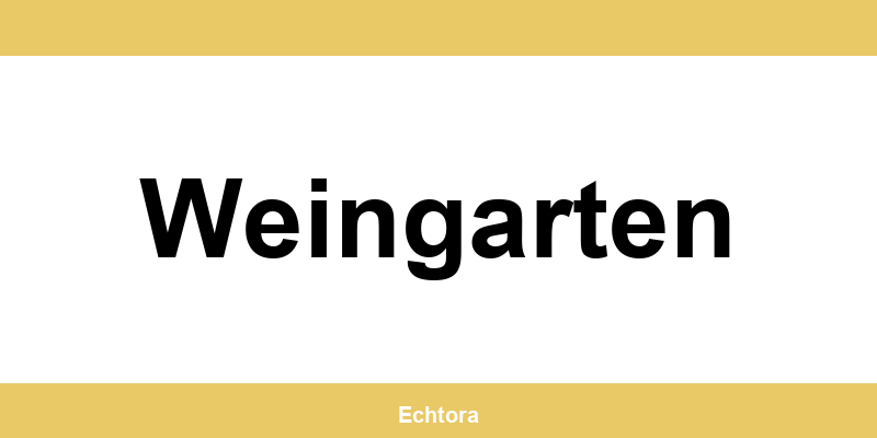 Kontakt zu Western Union Filialen in Weingarten