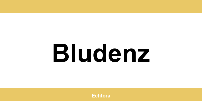 Kontakt zu Western Union Filialen in Bludenz