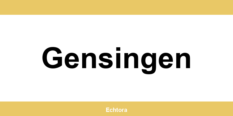 Kontakt zu Western Union Filialen in Gensingen