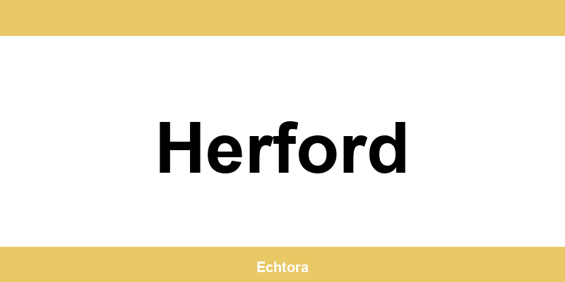 Kontakt zu Western Union Filialen in Herford