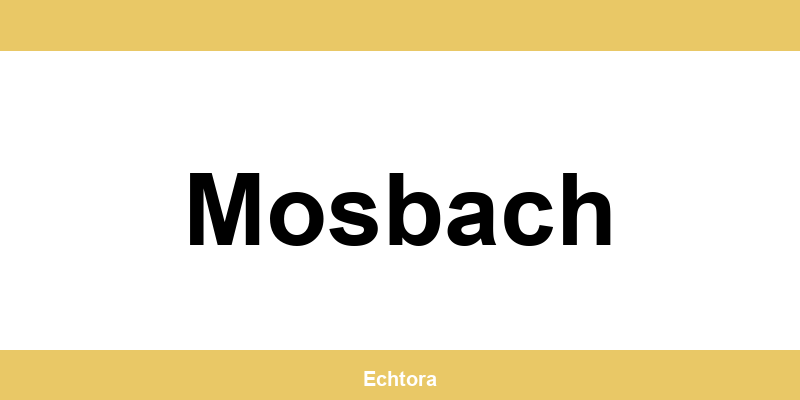 Kontakt zu Western Union Filialen in Mosbach