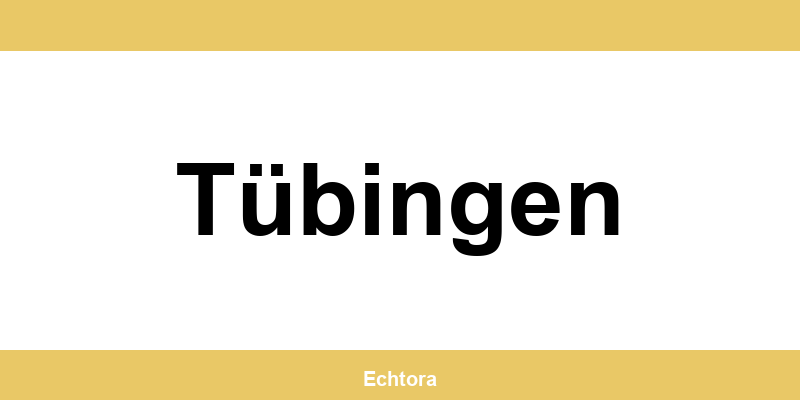 Kontakt zu Western Union Filialen in Tübingen