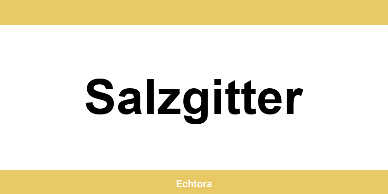 Kontakt zu Western Union Filialen in Salzgitter